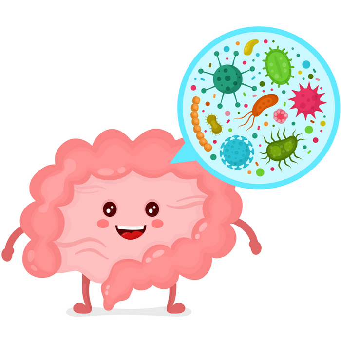 probiotics and mental health