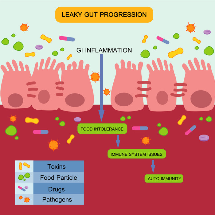 Leaky Gut